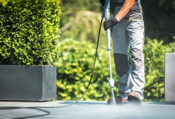 Best Roof Washing  in Shallowater, TX