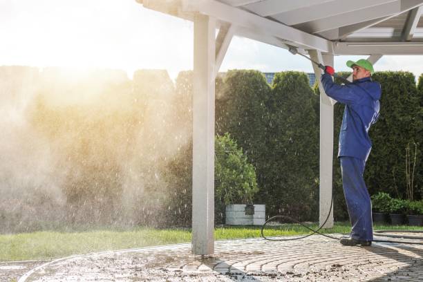 Best Driveway Pressure Washing  in Shallowater, TX