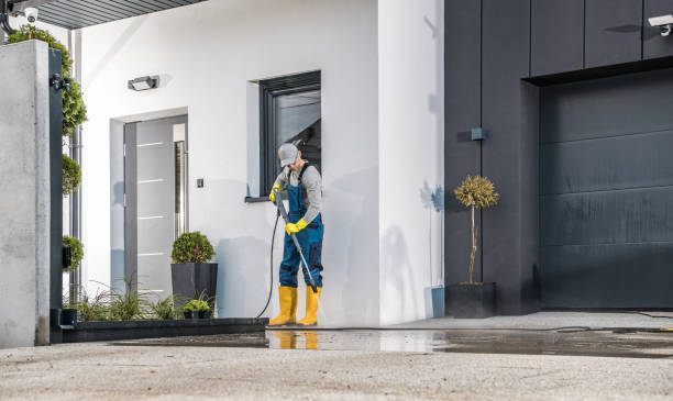 Best Paint Preparation  in Shallowater, TX
